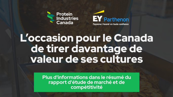 EY report 2026 fr web