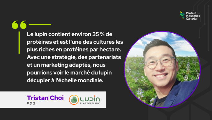 Lupin article FR