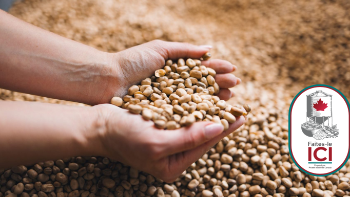 Make It Here Hill Times op ed FR