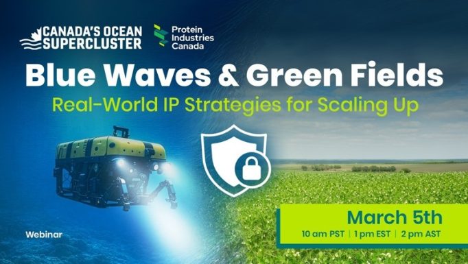 Oceans PIC webinar Blue waves and green filds