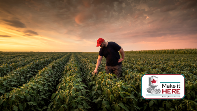 PIC Banner Image with Horizontal 3