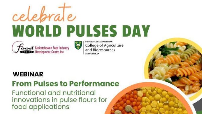 World pulse day webinar food centre 2026